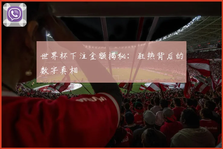 世界杯下注金额揭秘：狂热背后的数字真相