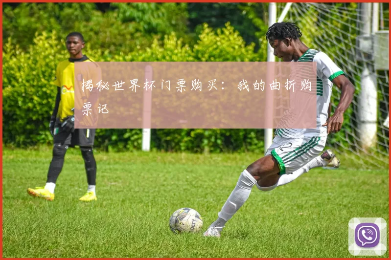 揭秘世界杯门票购买：我的曲折购票记