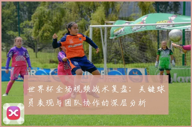 世界杯全场视频战术复盘：关键球员表现与团队协作的深层分析