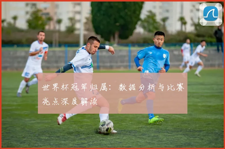 世界杯冠军归属：数据分析与比赛亮点深度解读