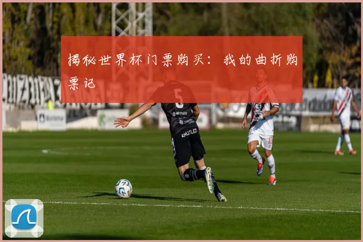 揭秘世界杯门票购买：我的曲折购票记